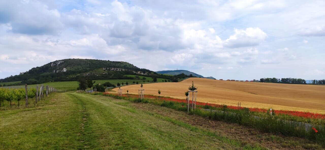 Krajina okolí Pálavy, Mikulova a Pavlova